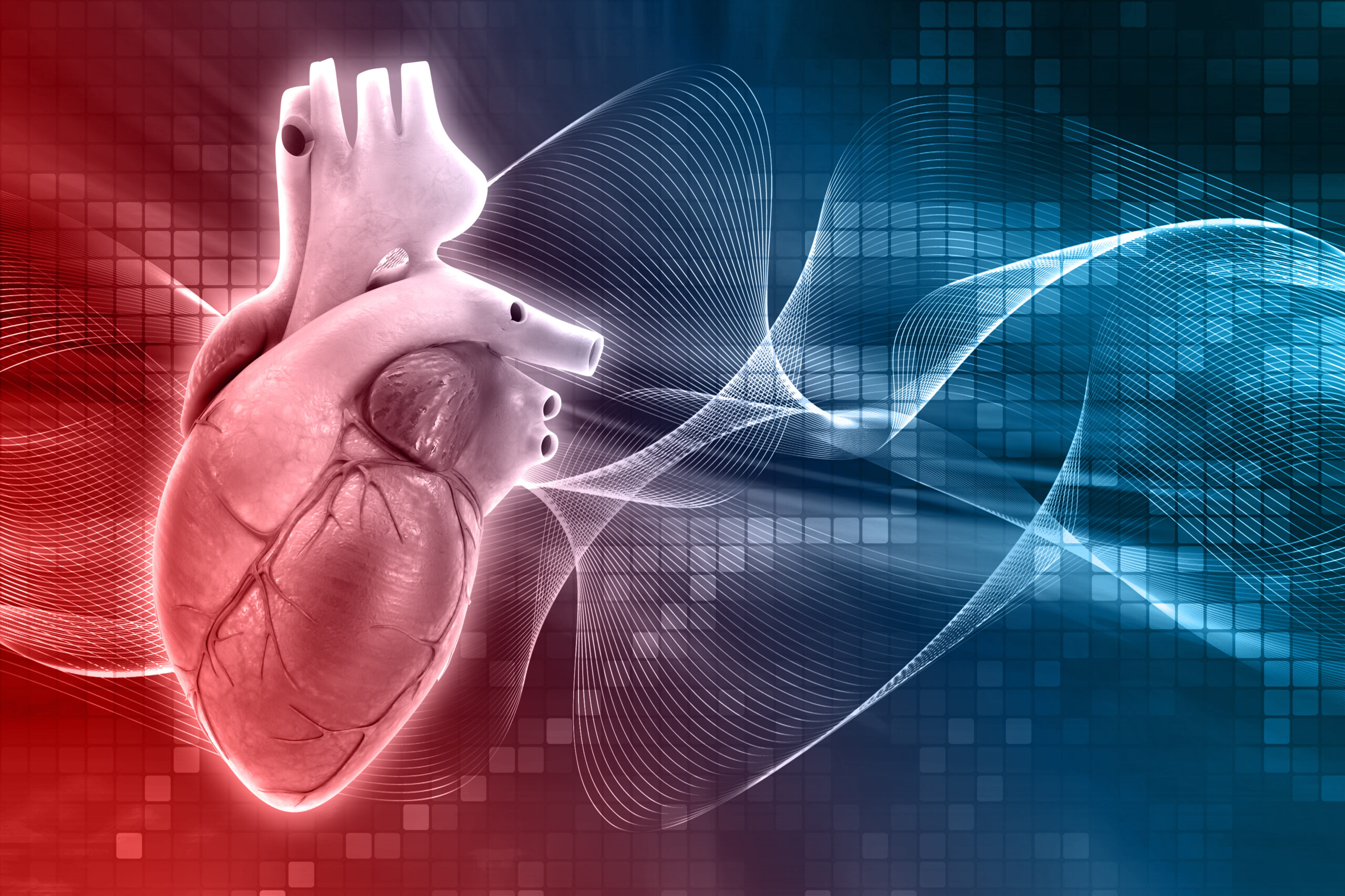 أمراض الأوعية القلبية: الفهم، الأسباب، وسبل الوقاية