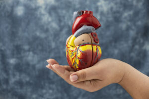 سرعة خفقان القلب: أسبابها، دلالاتها الطبية، وسُبل العلاج والوقاية